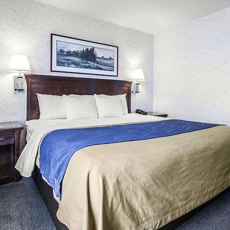 Comfort Inn Bellingham Exteriör bild