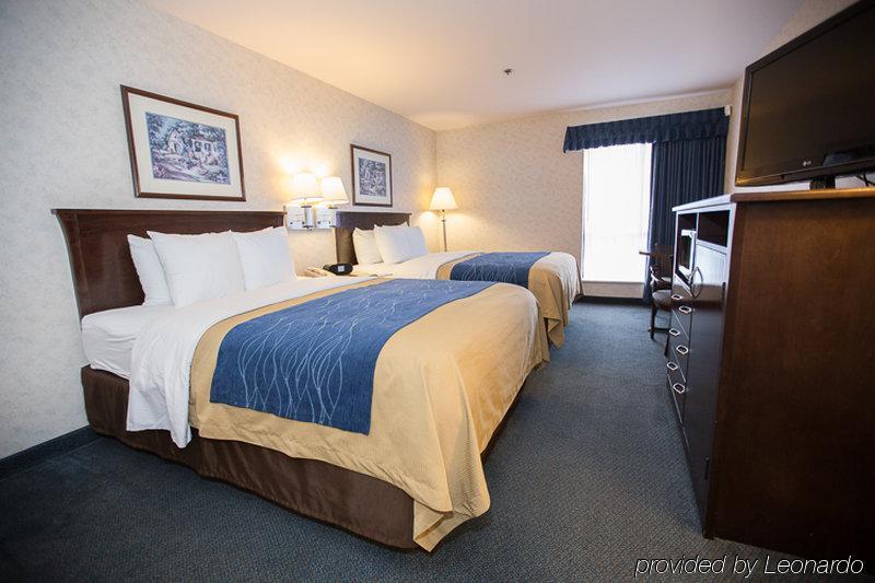 Comfort Inn Bellingham Exteriör bild